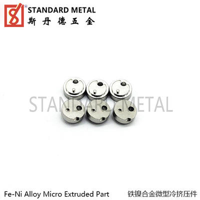 Fe-Ni Alloy Cold Extruded Miniature Part